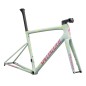 Specialized Tarmac SL8 Frameset 2025