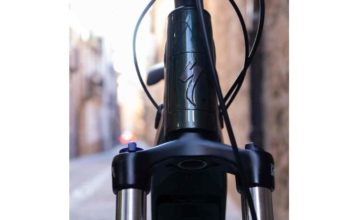 Specialized Turbo Tero 3.0 Step-Through 2023 GR-100