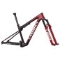 Specialized Epic WC S-Works Frameset 2024 Specialized Epic WC S-Works Frameset 2024