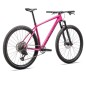Specialized Epic HT Comp 2025