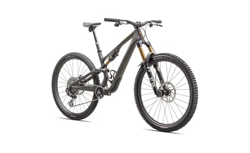 Specialized S-Works Stumpjumper 15 2025 gr-100