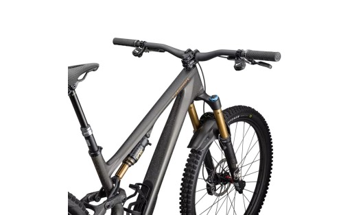 Specialized S-Works Stumpjumper 15 2025 gr-100