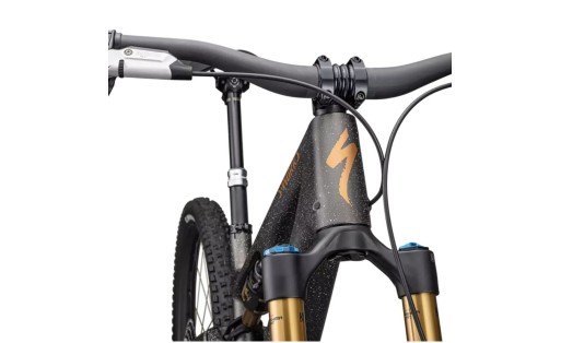 Specialized S-Works Stumpjumper 15 2025 gr-100