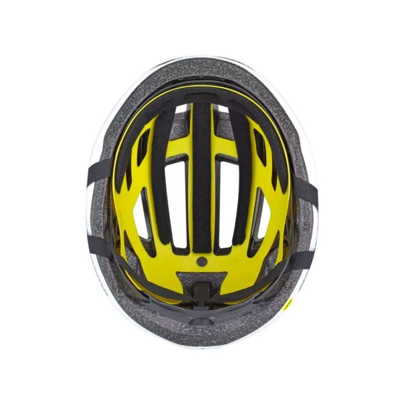 Specialized Chamonix 3