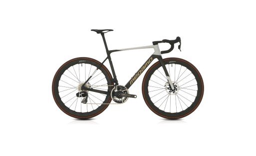 Megamo Raise 09 AXS 2025 GR-100