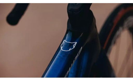 S-Works Tarmac SL8 Soudal Quick-Step Frameset GR-100