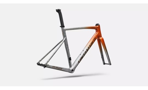 Specialized Cuadro Allez Sprint 2026 GR-100