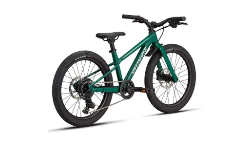 Specialized Riprock 20" INT 2026 GR-100