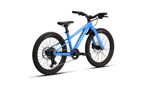 Specialized Riprock 20" INT 2026 GR-100
