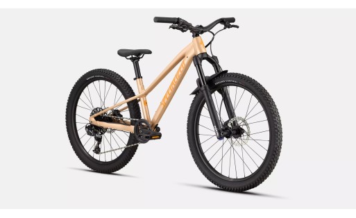 Specialized Riprock Comp 24 INT 2026 GR-100