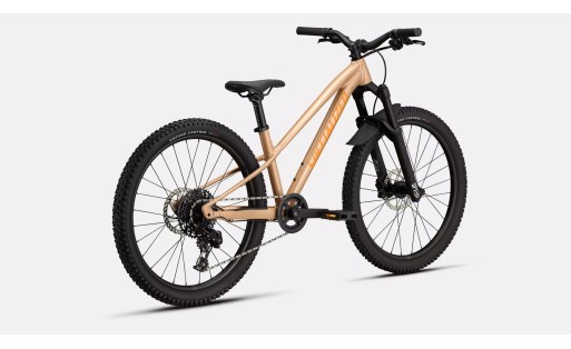 Specialized Riprock Comp 24 INT 2026 GR-100