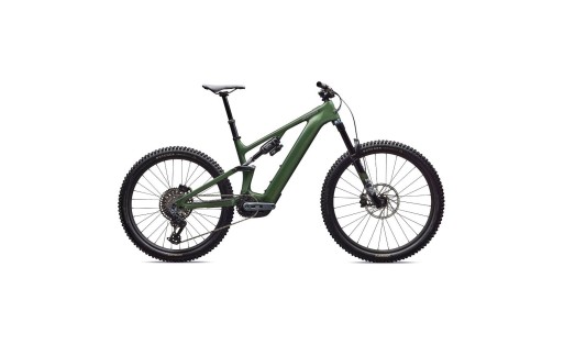 Specialized Turbo Levo 4 Expert GR-100