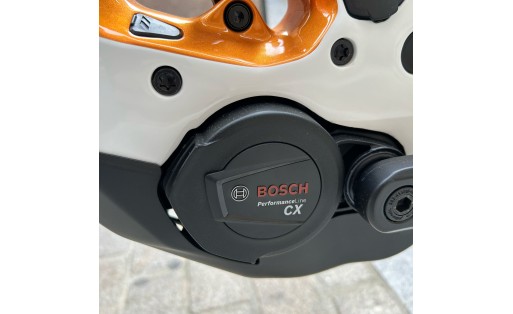 Stevens E-inception ED 8.7.1 GTF 750Wh motor Bosch G4 GR-100
