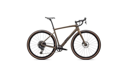 Specialized Diverge Expert Carbon 2025 GR-100