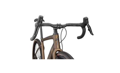 Specialized Diverge Expert Carbon 2025 GR-100