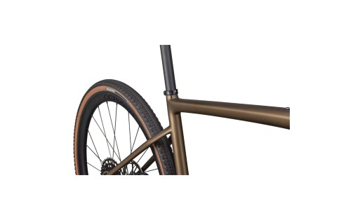 Specialized Diverge Expert Carbon 2025 GR-100