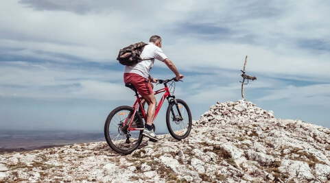 This is Second Post For Themevolty